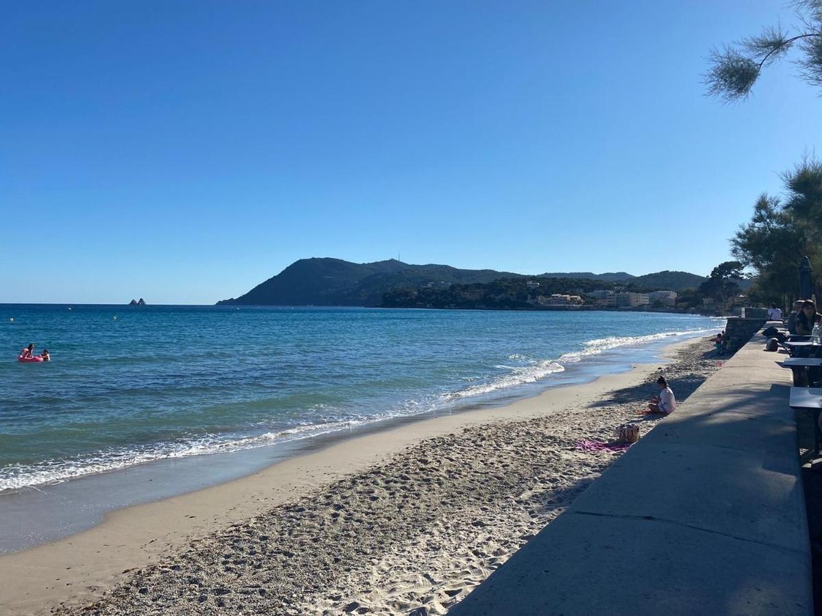 Appartement A 150 M De La Mer 滨海拉塞讷 外观 照片